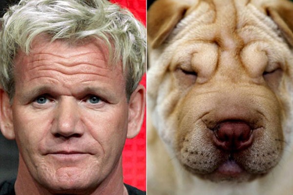 Gordon Ramsay