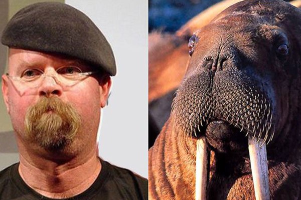 Jamie Hyneman