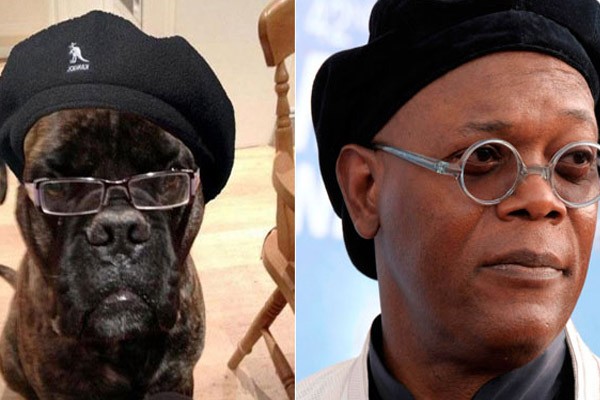 Samuel L. Jackson