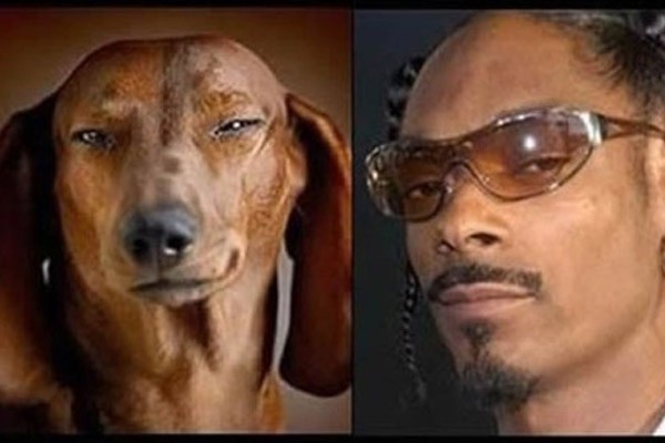 Snoop Dog