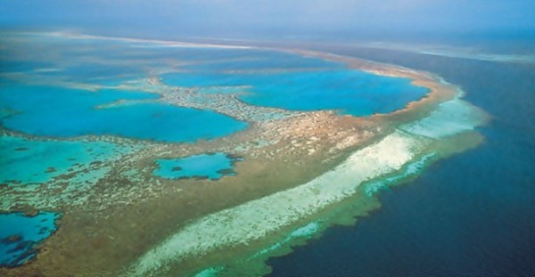17- La Gran Barrera de Coral.