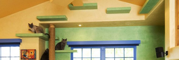 Hombre construye una mansión para gatos dentro de su propia casa