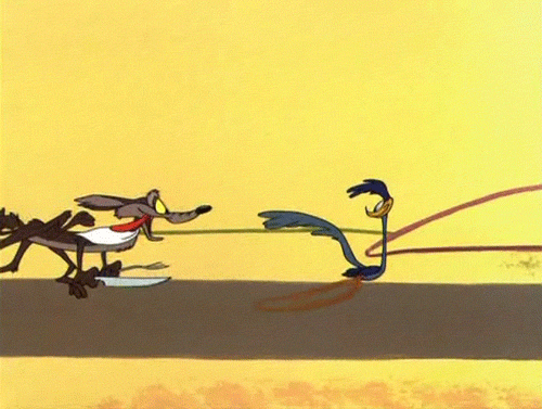 The Coyote and the Road Runner