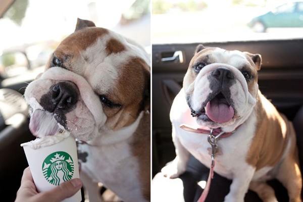 El vaso especial en Starbucks