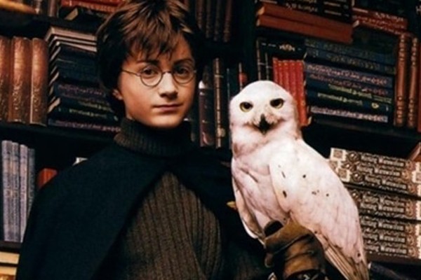 Hedwig en Harry Potter