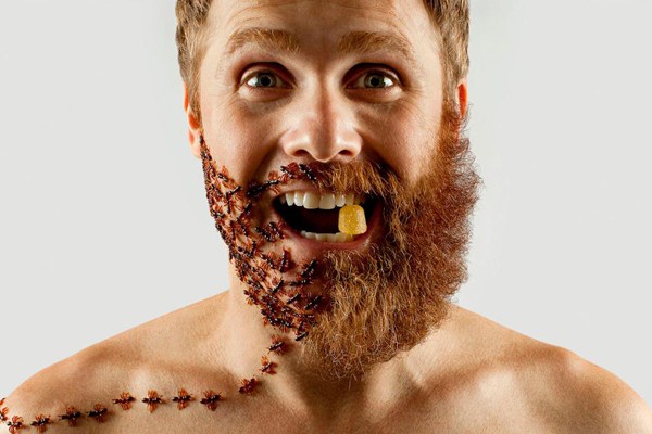 La barba para hormigas