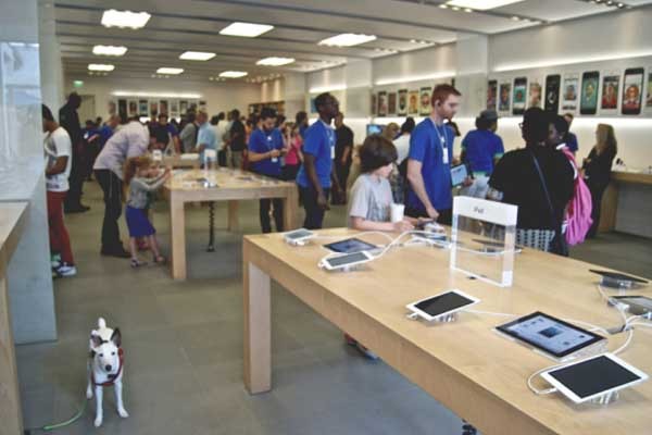 Las tiendas Apple son pet friendly