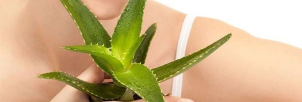 17 beneficios increíbles del Aloe Vera que tendrás que probar