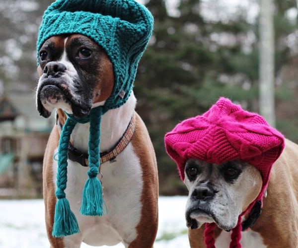 Estos bravucones que deben usar gorros tejidos