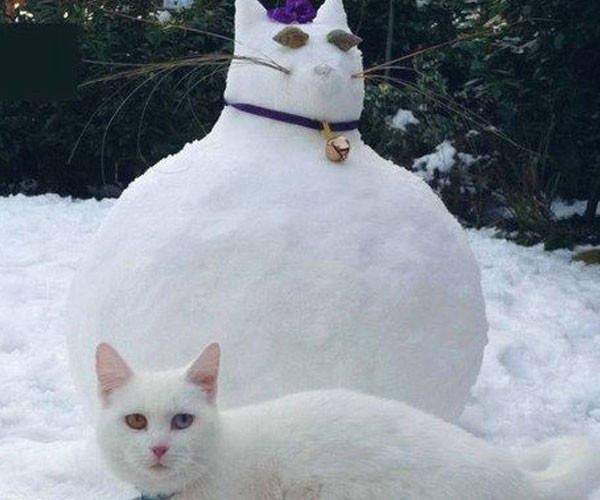 Esta escultura de hielo que enojó al gato