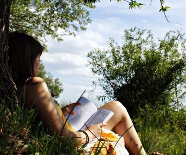 Un buen libro bajo la sombra de un árbol