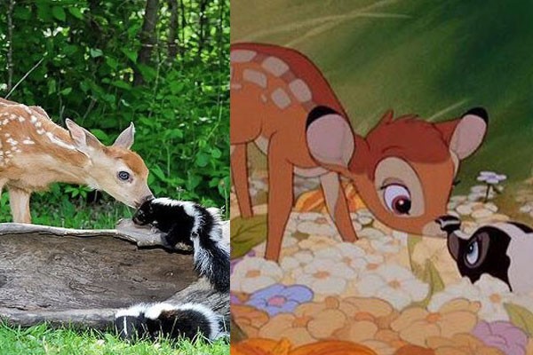 Bambi y Flor