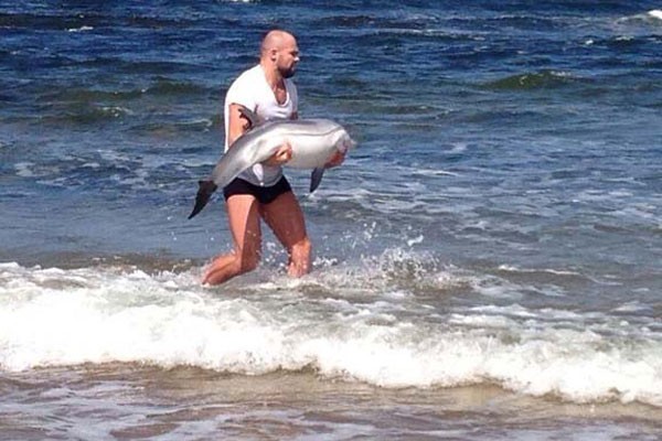 Este hombre ayudó a un delfín que se atascó