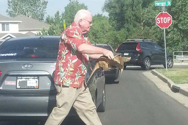 Este señor ayudando a una tortuga a cruzar la calle