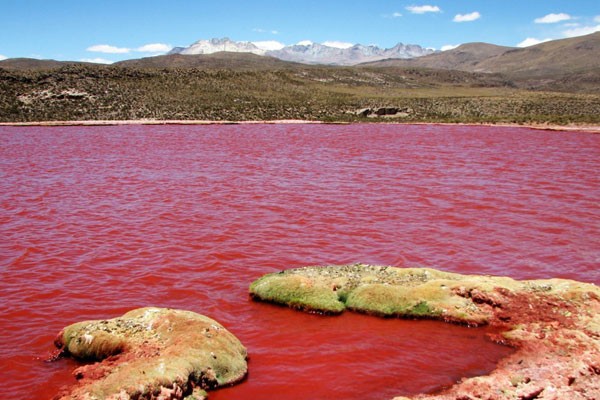 Laguna Roja, Chile