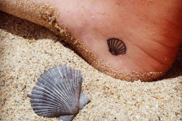 Una concha de mar