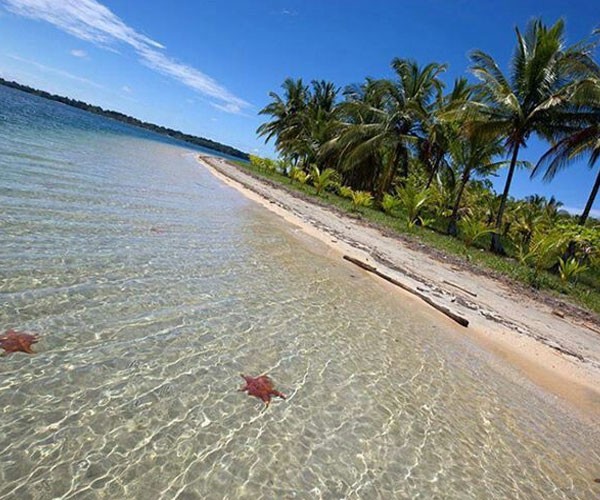 Playa de las Estrellas - Panamá