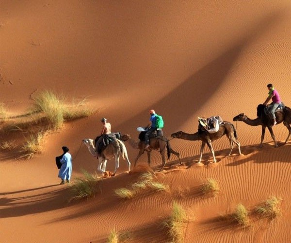 El Sahara