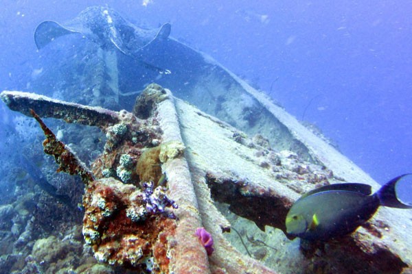 Naufragio Yongala, Australia