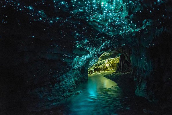 Cueva de las luciérnagas