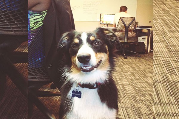 A él le encanta estar en la oficina