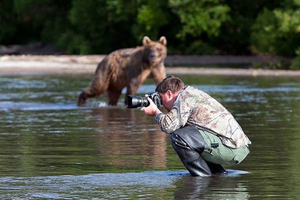 Arriesgando su vida al oso por otra foto