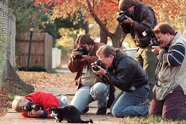 Intentando no asustar al gatito