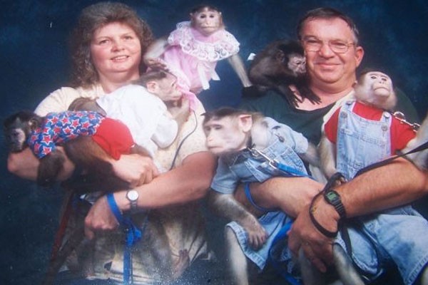 La pareja y su familia de monos