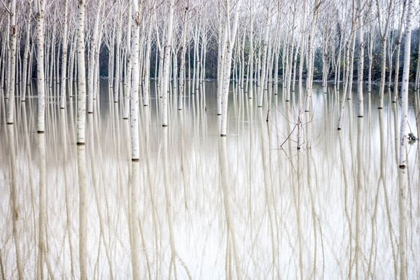 La tranquilidad del Río Po, Italia