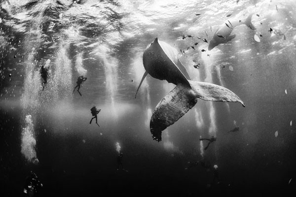 Lo que esconde el mar en la isla Roca Partida, México