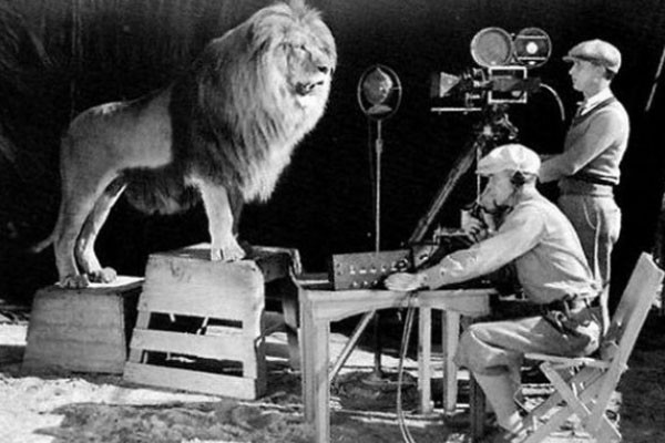 Momento de la filmación del león rugiente, insignia de la cadena MGM