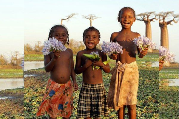 Niñas recolectando flores