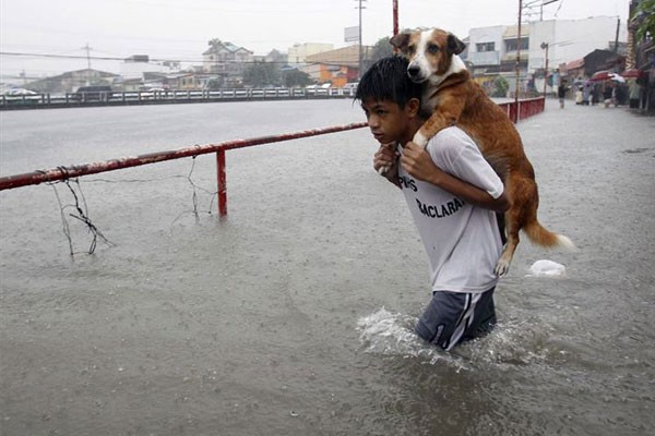 Salvando a su mejor amigo