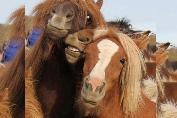 Selfie de las amigas