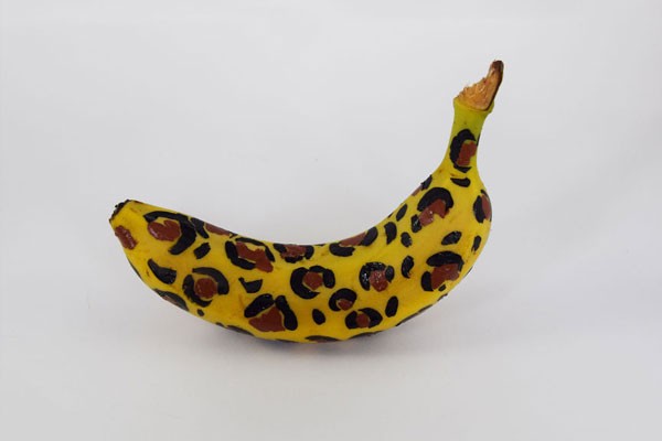 Un banano salvaje de leopardo