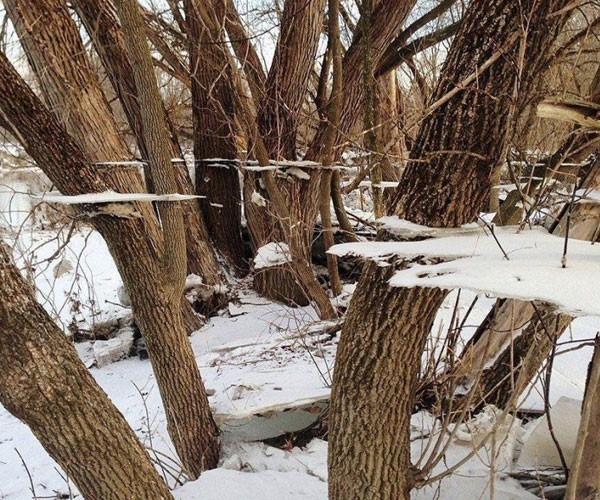 Plataformas de agua convertida en hielo luego de una inundación