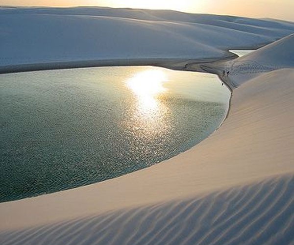 Un oasis en el desierto