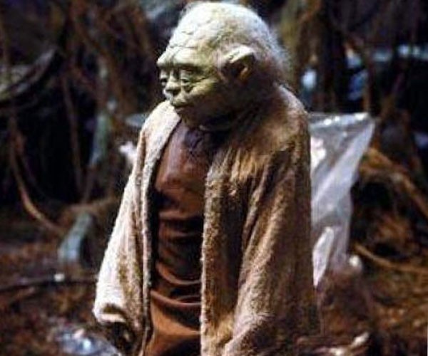 El maestro Yoda desprevenido