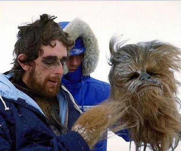 Un descanso para Chewbacca