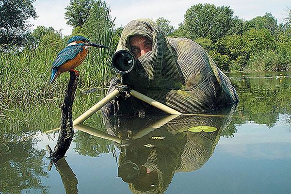 Vestido con una bolsa verde por este colibrí