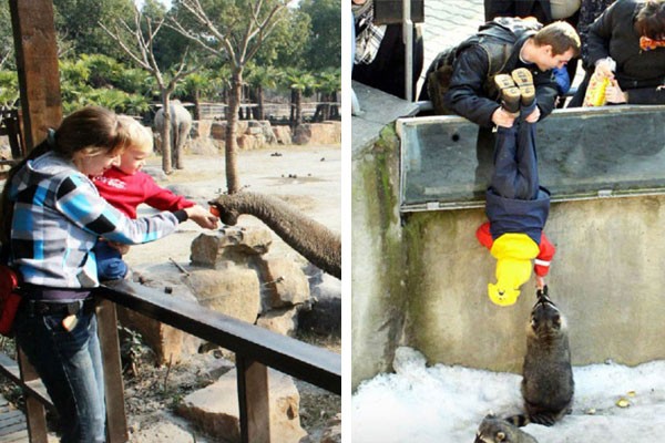 Visitando el zoológico