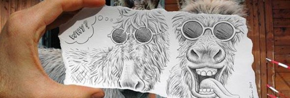 12 dibujos que se acoplan perfectamente a la realidad