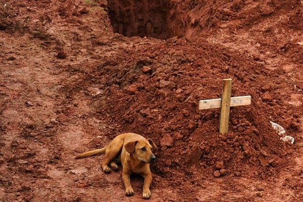 Leao y su dueño