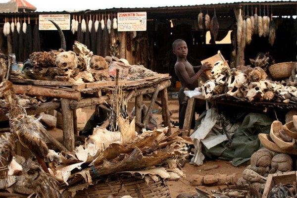 Mercado del fetiche Akodessewa - Togo (África)