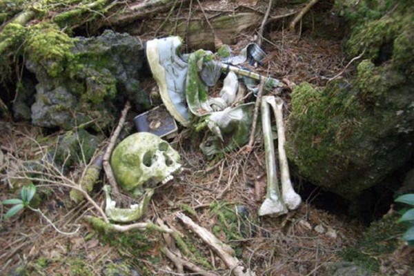 Bosque de Aokigahara - Japón