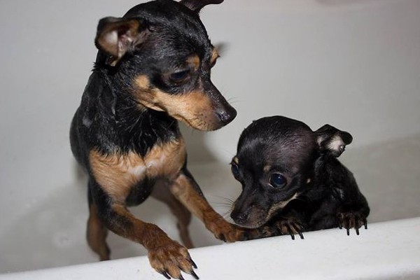 Chiqui y Pepa comparten los baños