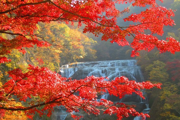 Cataratas Fukuroda - Japón