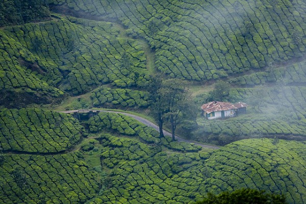 Ghats Occidentales - India