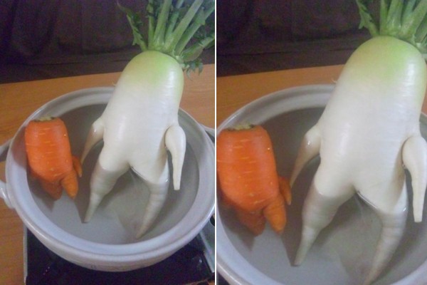 La zanahoria y el nabo tomando un baño