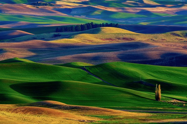 Palouse - Estados Unidos